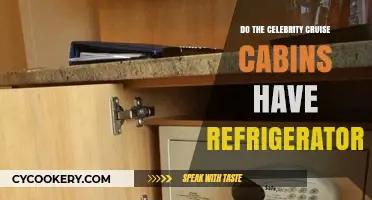 Celebrity Cruise Cabins: Refrigerators Included or Optional?