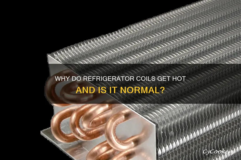 do the coils behind my refrigerator get really hot