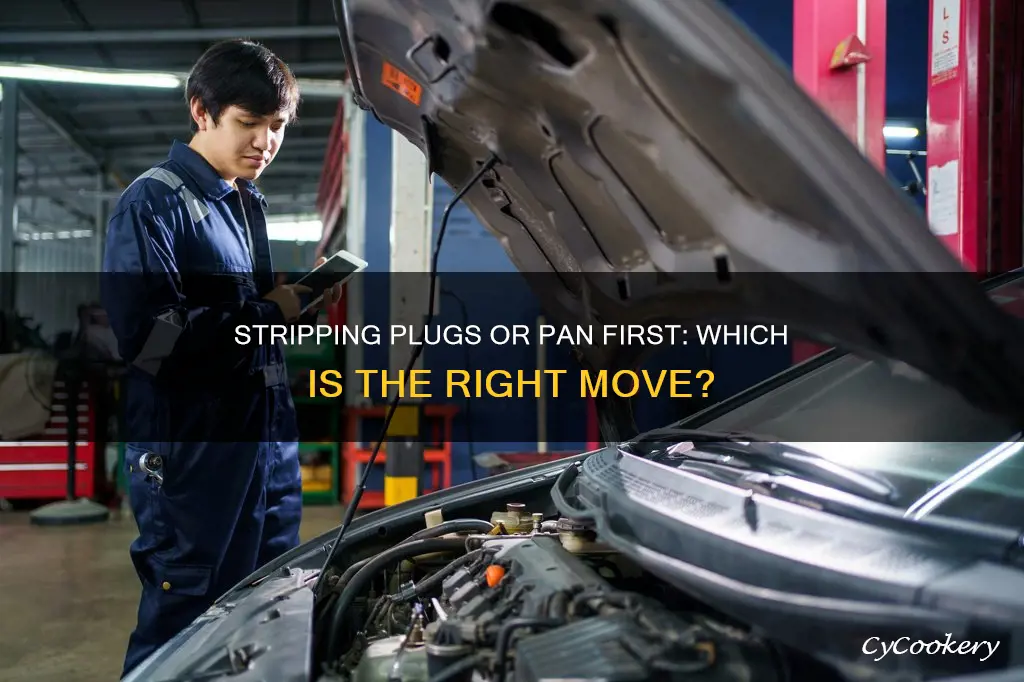 do the plugs strip first or the pan