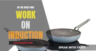 Rock Pans and Induction: Do They Work?