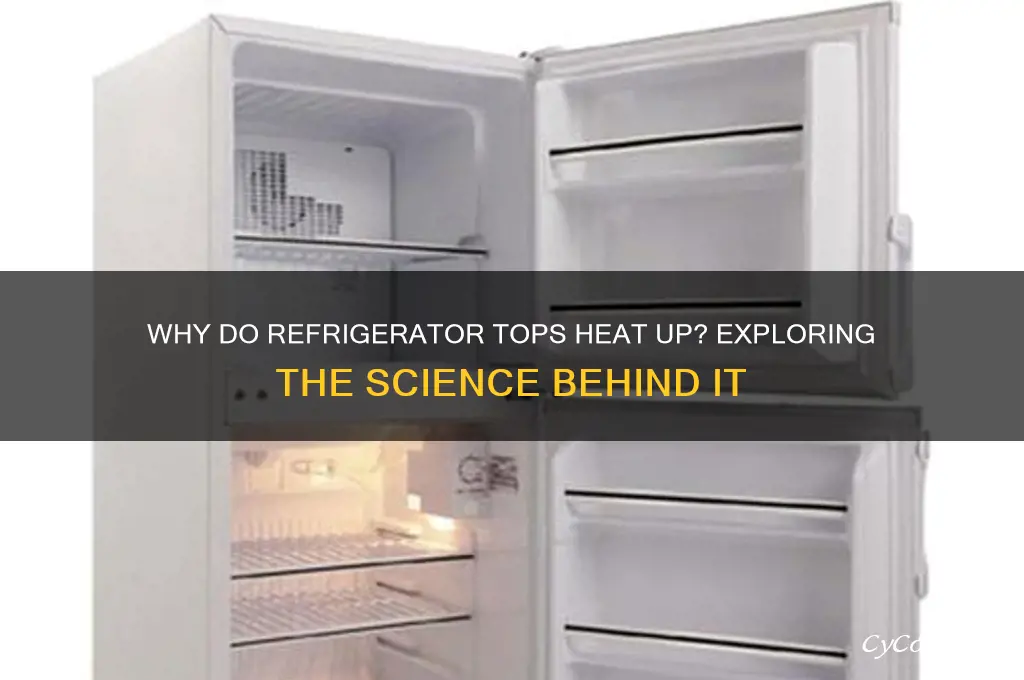 do the tops of refrigerators always heat up
