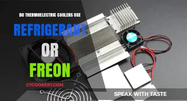 Thermoelectric Coolers: Do They Use Refrigerant or Freon?