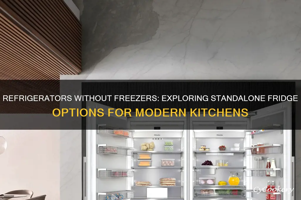 do they have refrigerators without a freezer