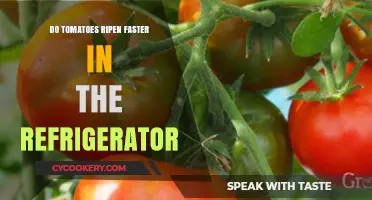 Should Tomatoes Be Refrigerated for Faster Ripening? The Truth Revealed