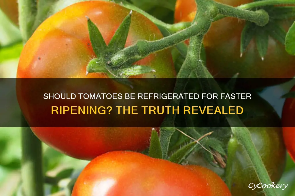 do tomatoes ripen faster in the refrigerator