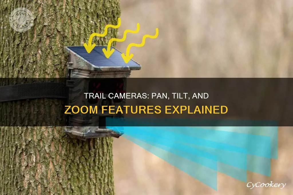 do trail cameras pan and tilt