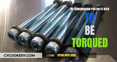 Torqueing Transmission Pan Bolts: Yes or No?