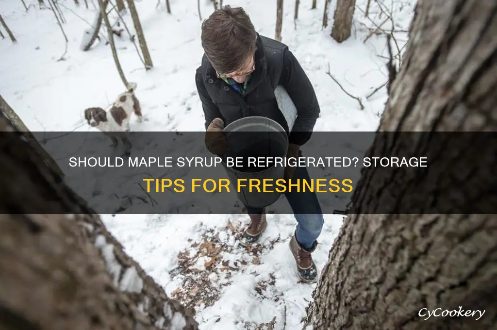 do u have to refrigerate maple syrup