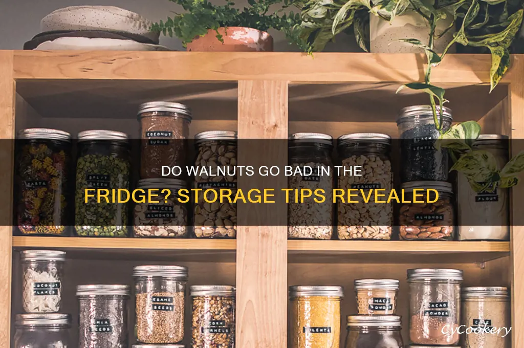 do walnuts go bad in the refrigerator