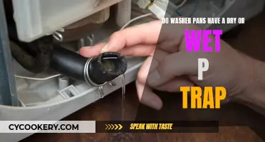 Washer Pan Maintenance: Wet or Dry P-Trap?