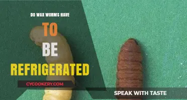 Should Wax Worms Be Refrigerated? Storage Tips for Healthy Worms