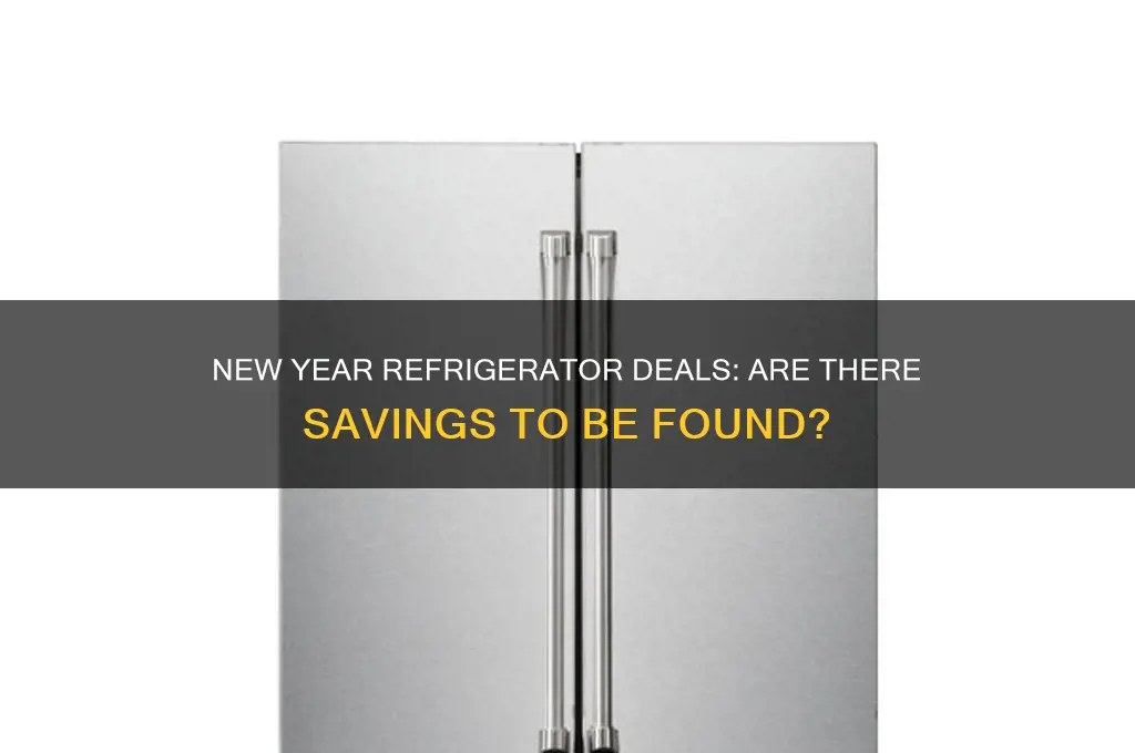 do we get deals on refrigerators on new year