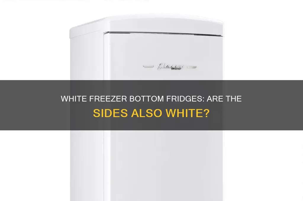 do white freezer bottom refrigerators have white sides