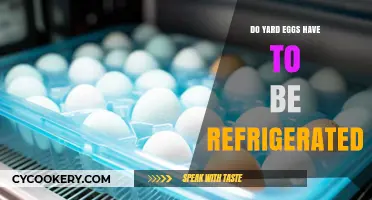 Yard Eggs: Refrigeration Necessary or Not? Expert Tips Revealed