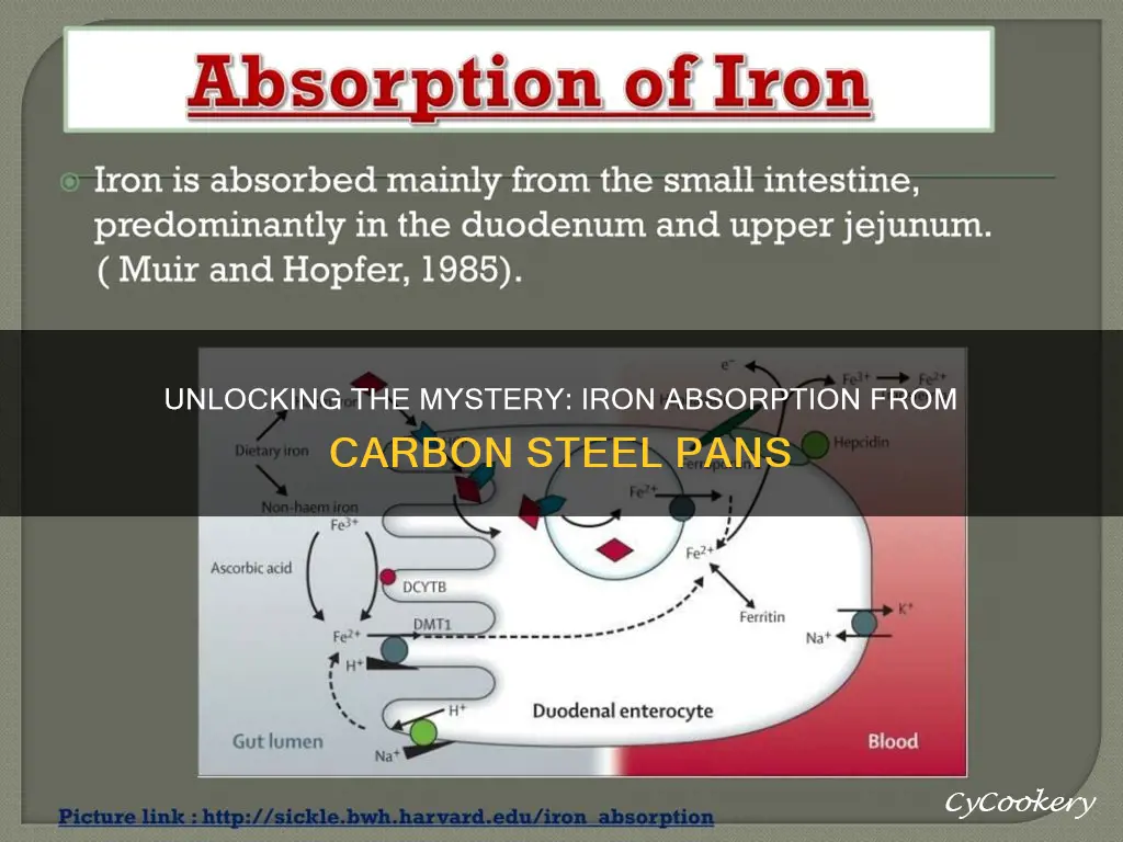 do you absorb iron from carbon steel pans