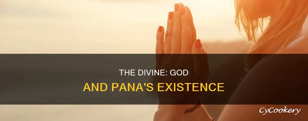 do you believe in god o pana
