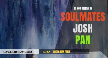 Finding Soulmates: Josh Pan's Perspective
