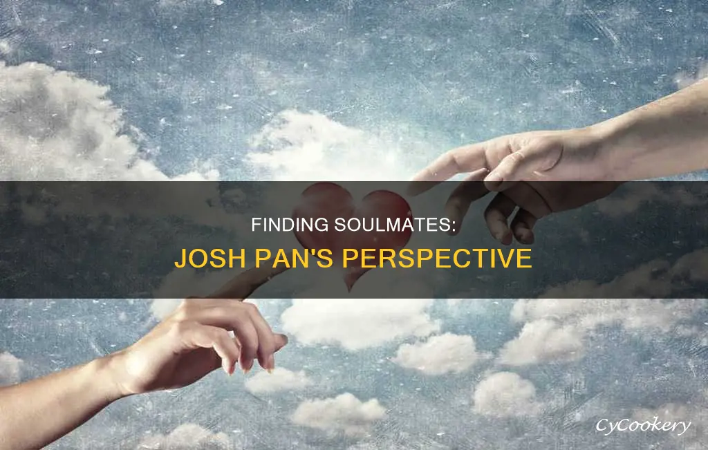 do you believe in soulmates josh pan