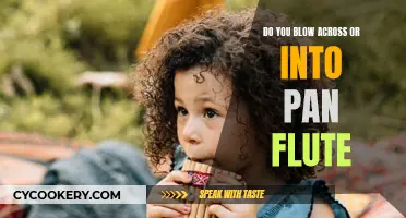 How to Play the Pan Flute: Across or Into?