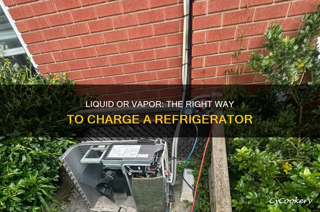 do you charge a refrigerator with liquid or vapor