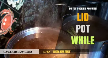 Cooking Pho: Lid On or Off?