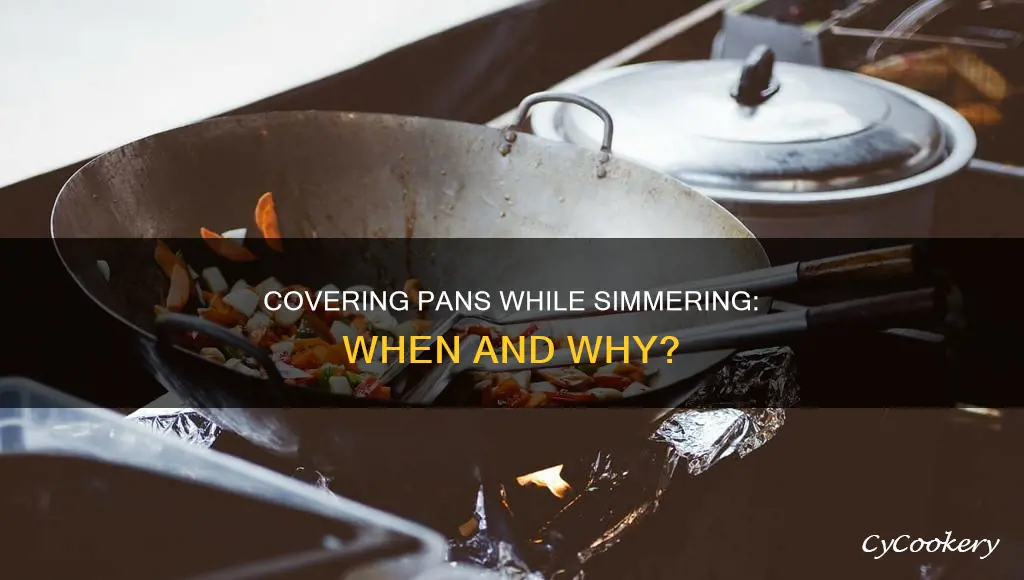 do you cover a pan when simmering