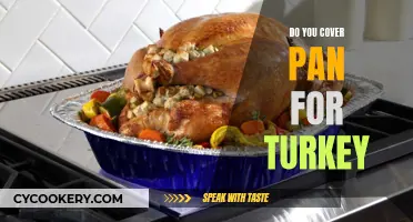 The Perfect Pan for Roasting a Turkey