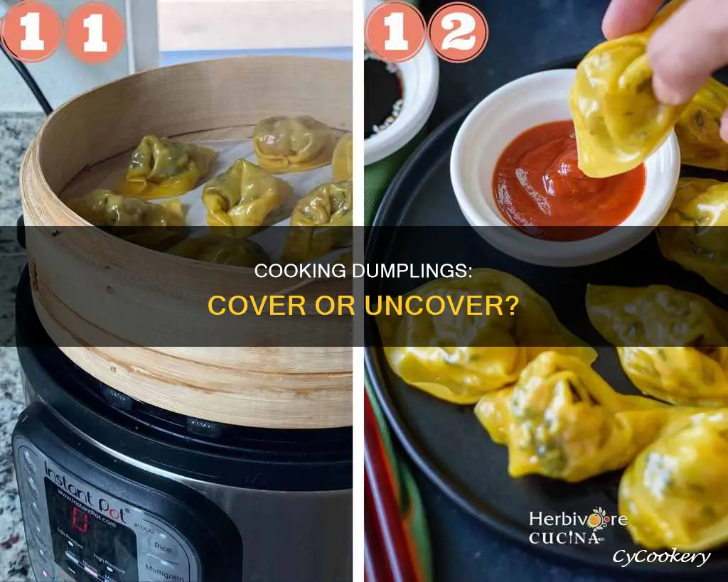 do you cover the pot when cooking dumplings