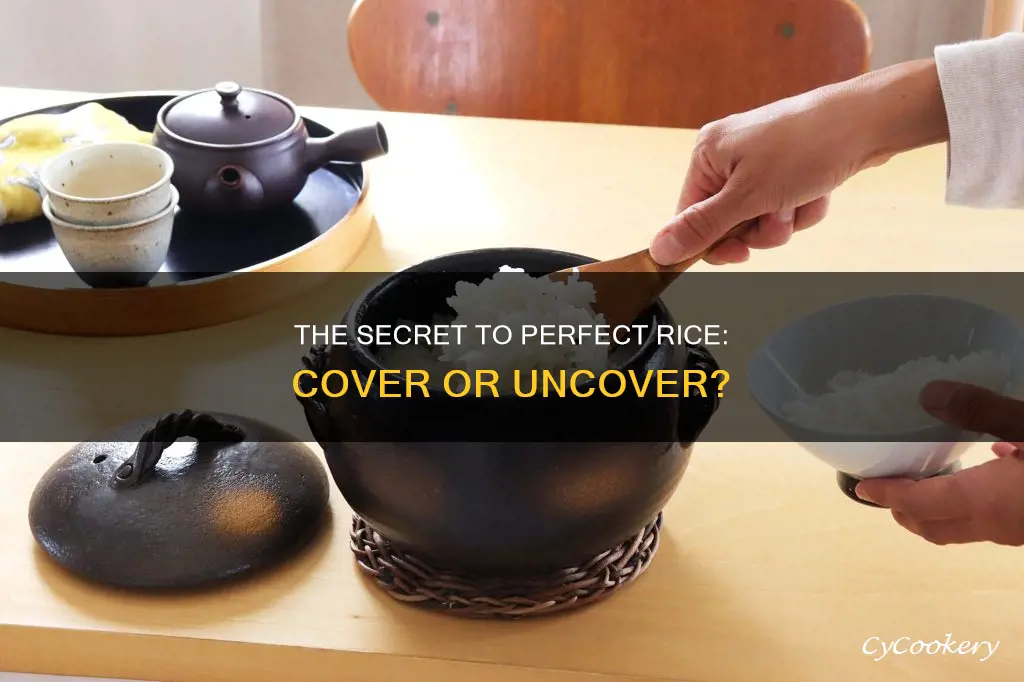 do you cover the pot when cooking rice