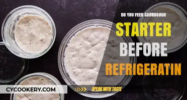 Should You Feed Sourdough Starter Before Refrigerating? A Quick Guide