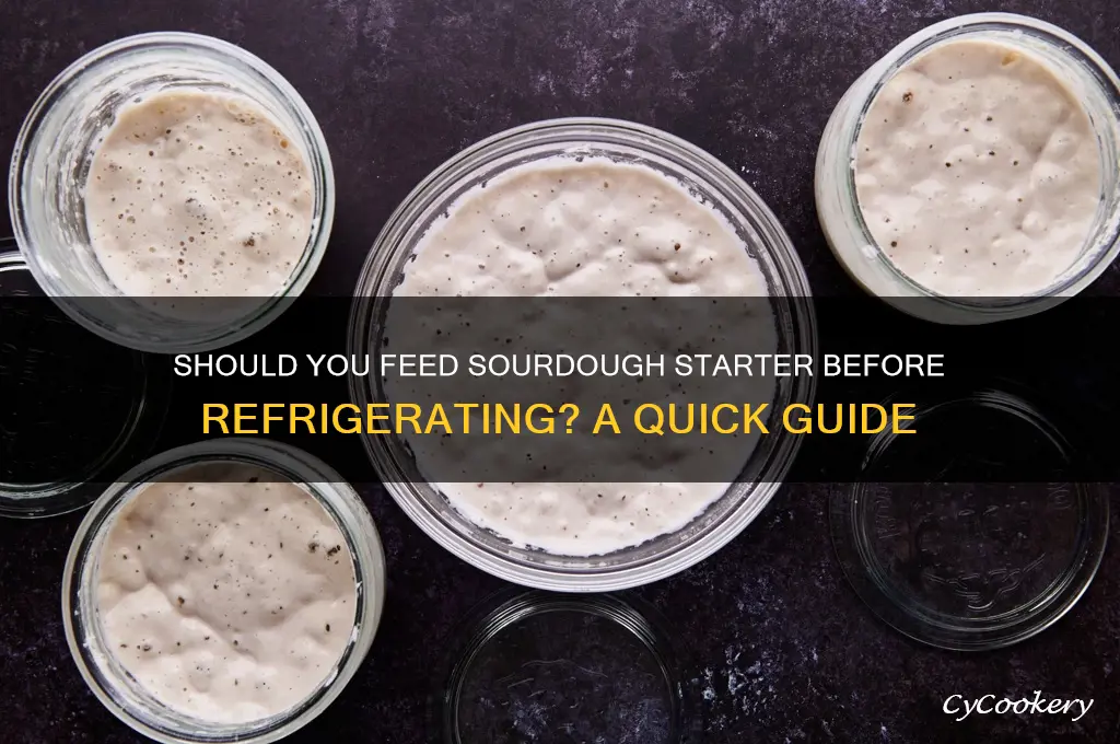do you feed sourdough starter before refrigerating