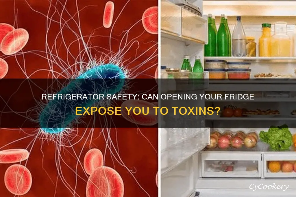 do you get poisoned when you open your refrigerator