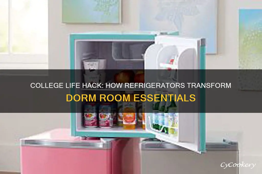 do you guys use your refrigerator in college