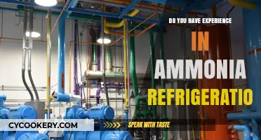 Ammonia Refrigeration Expertise: Sharing Insights and Practical Experience