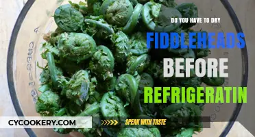 Should You Dry Fiddleheads Before Refrigerating? A Quick Guide