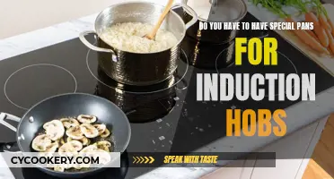 Induction Hobs: What Pans Work Best?