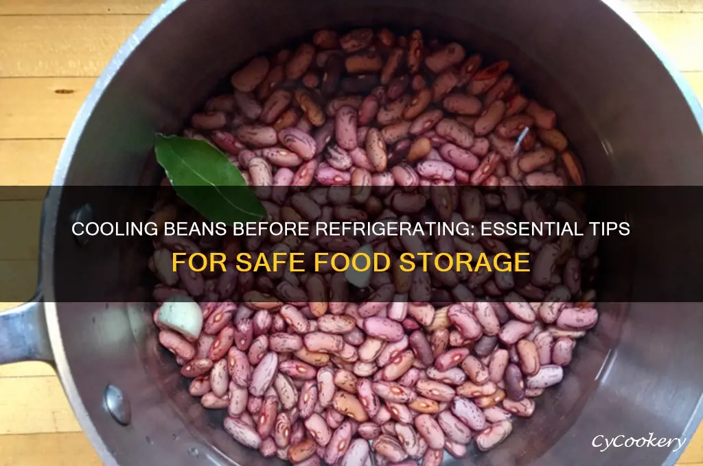 do you have to let beans cool before refrigerating