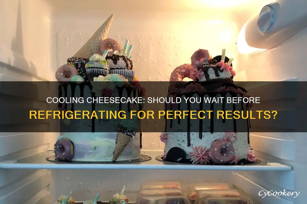 do you have to let cheesecake cool before refrigerating