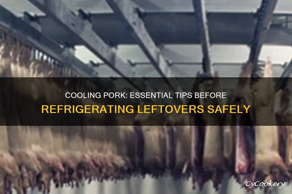 do you have to let pork cool before refrigerating