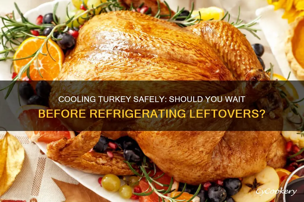 do you have to let turkey cool before refrigerating