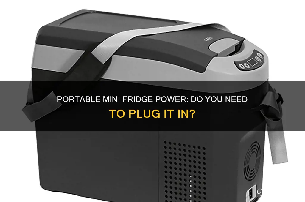 do you have to plug up portable mini refrigerator