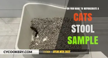 Should You Refrigerate Your Cat's Stool Sample? Expert Tips