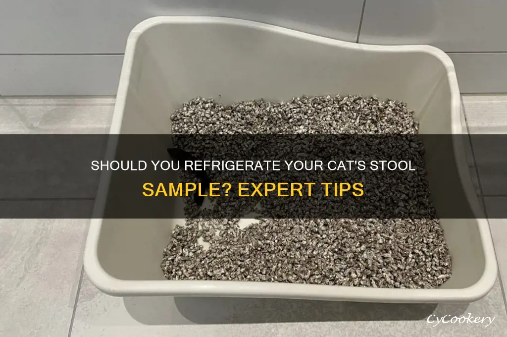 do you have to refrigerate a cats stool sample