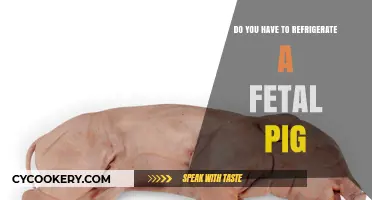 Should Fetal Pigs Be Refrigerated? Essential Preservation Tips for Biology Labs