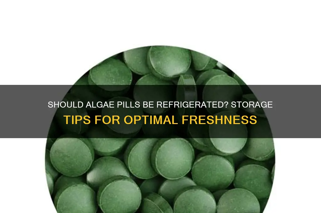 do you have to refrigerate algae pills