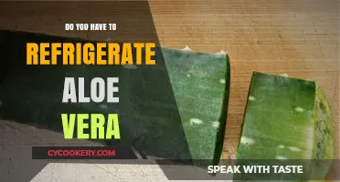 Should Aloe Vera Be Refrigerated? Storage Tips for Freshness and Effectiveness