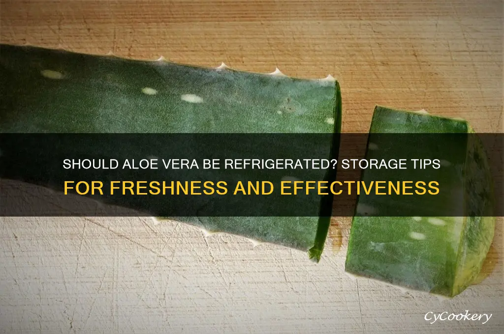 do you have to refrigerate aloe vera