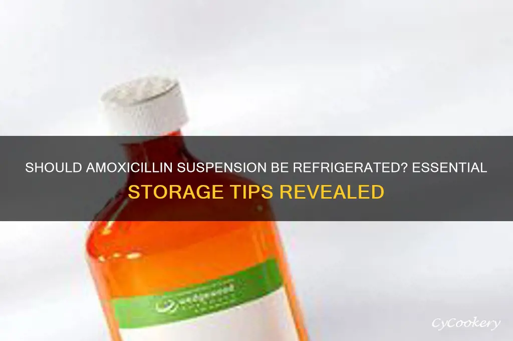 do you have to refrigerate amoxicillin suspension