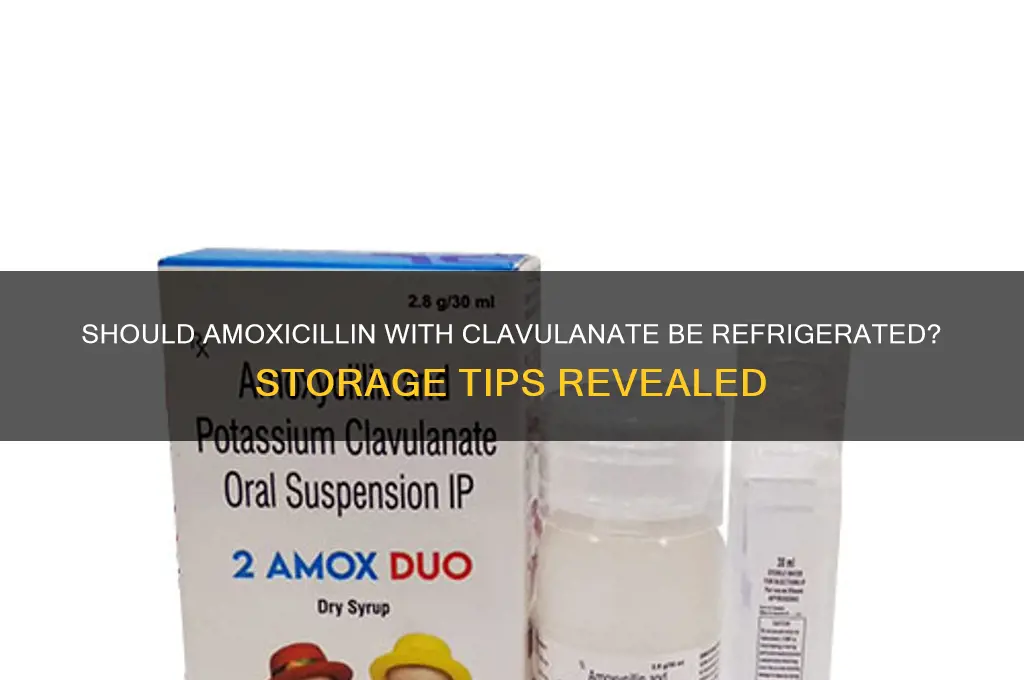 do you have to refrigerate amoxicillin with clavul