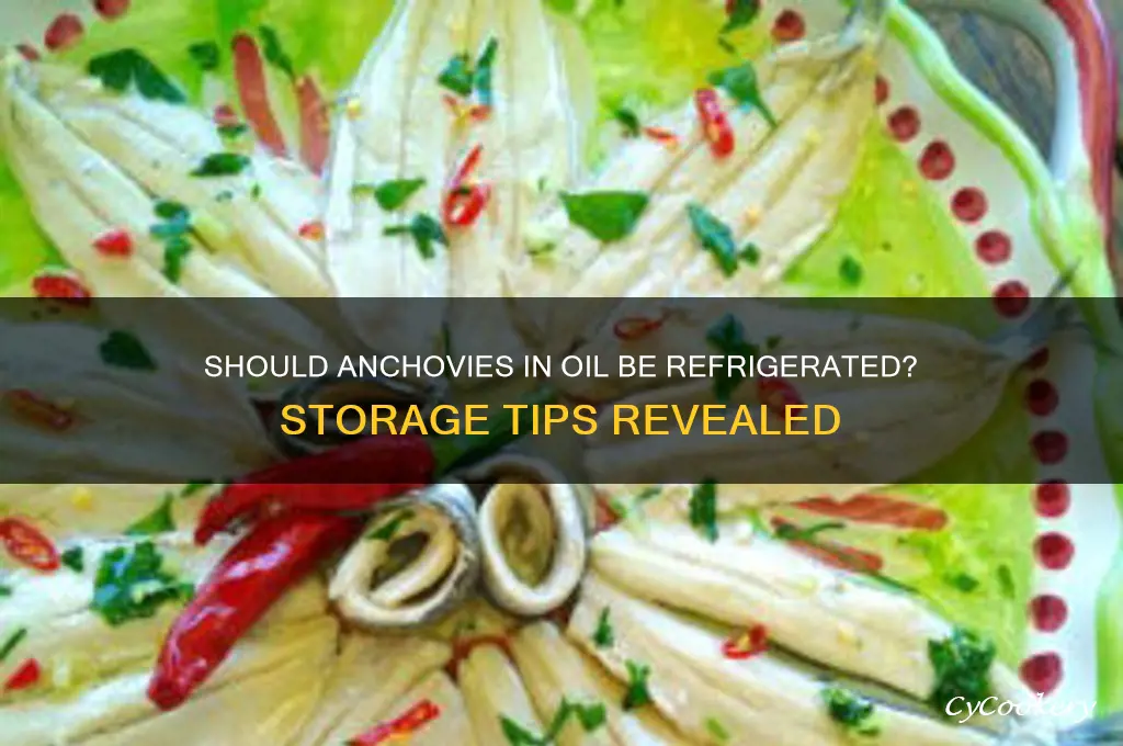 do you have to refrigerate anchovies in oil